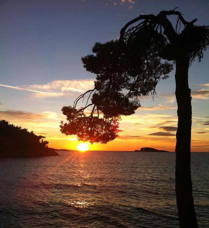 Epidaurum Apartments Cavtat Bilik gambar